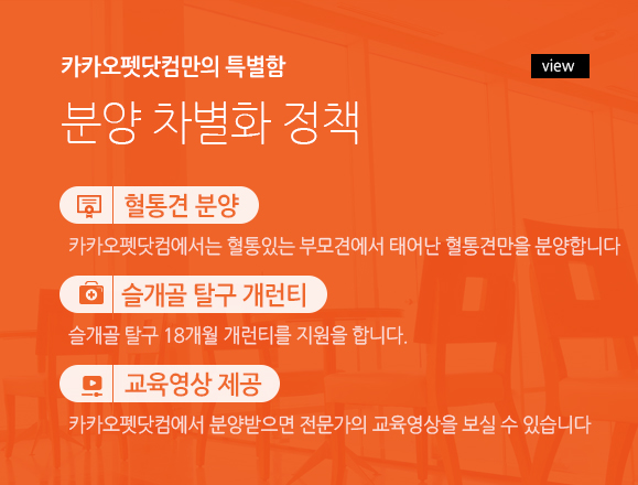 분양 차별화 정책