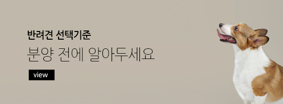 반려견 선택기준